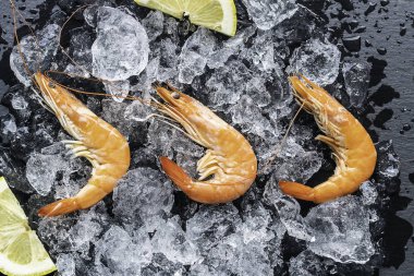 Buza yerleştirilmiş üç taze karides ve karanlık bir zemin.