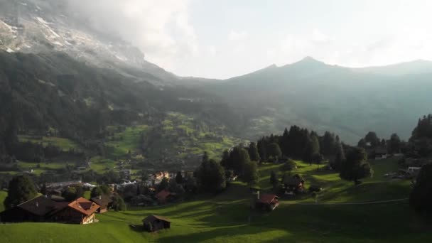 Shooting Drone Alpine Meadows Green Fields Cows Village Houses Sunny — Stock Video