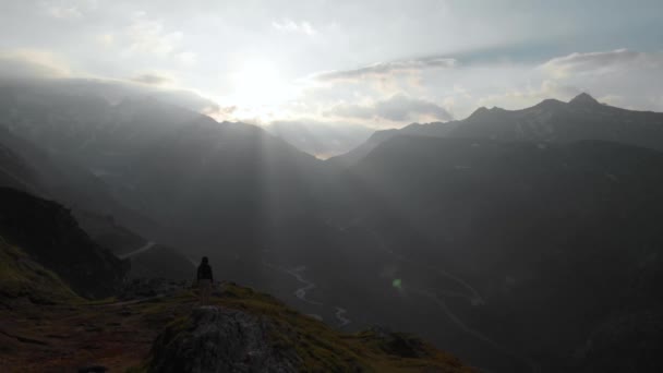 Стріляючи Дрона Альпійських Луків Зелені Поля Корів Сільських Будинків Сонячний — стокове відео