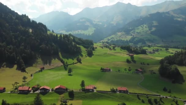 Tiroteio Zangão Prados Alpinos Campos Verdes Vacas Casas Aldeia Dia — Vídeo de Stock