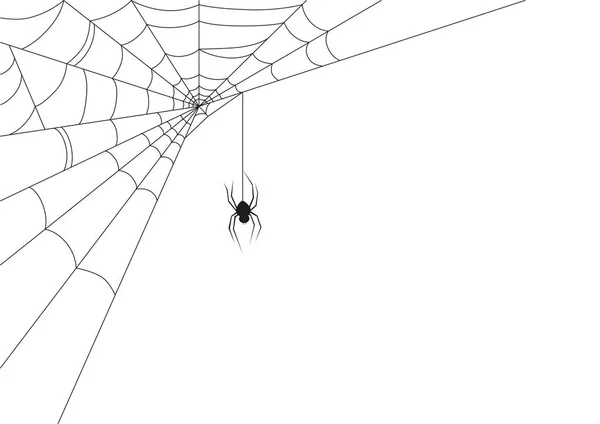 Εικονογράφηση Της Αράχνης Λευκό — Διανυσματικό Αρχείο