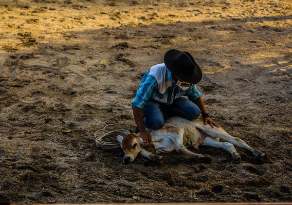 Cowboy subjecting the calf — Stock Photo, Image