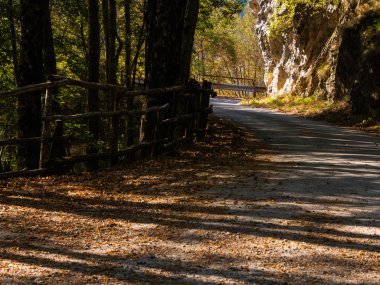 Yaz gününde dağ yolu