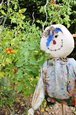 Bir korkuluk ile bir sebze bahçesi