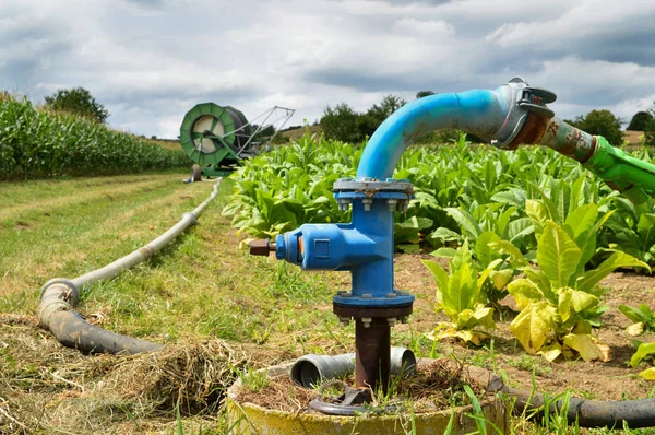 Système Irrigation Agricole Avec Puits Eau Pour Culture Maïs Betterave — Photo