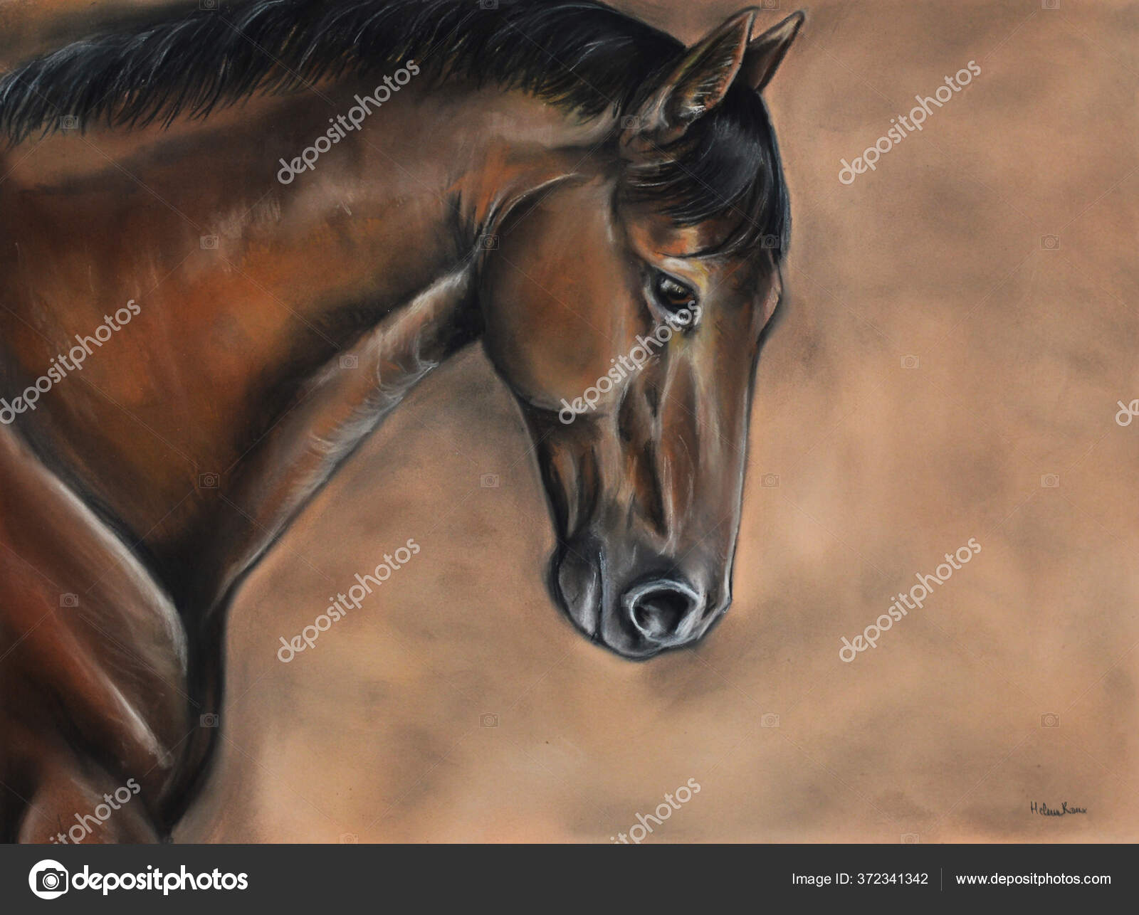 Horse Canvas Wall Art - Mirodesign Arabian Beauty – The Canvas Cure, image size:1600x1286