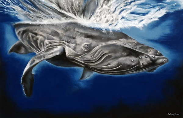Beautiful art drawing with humpback whale