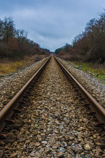 Bulutlu Bir Günde Ormandaki Düz Bir Demiryolunun Dikey Görüntüsü — Stok fotoğraf