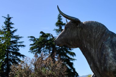 Ronda 'daki bir boğa heykelinin yakın görüntüsü.