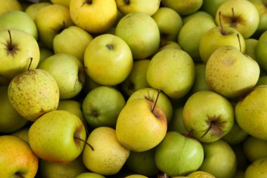 Bulgaristan 'ın Kardzhali pazarından Tam Elma Çerçevesi