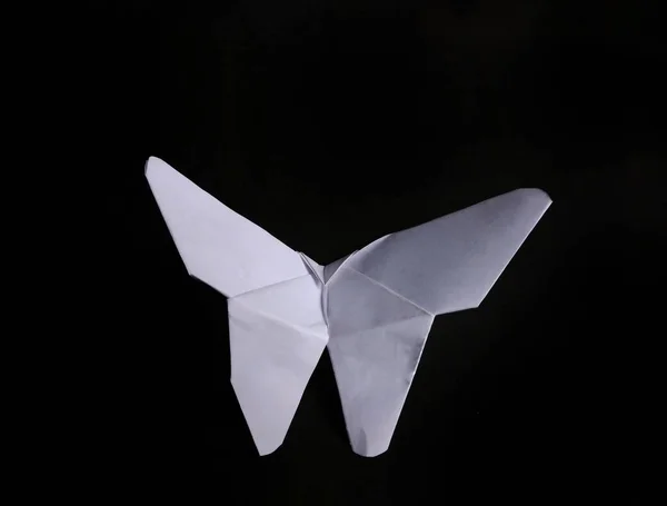 Wit papier vlinder op zwarte achtergrond. decoratief concept — Stockfoto