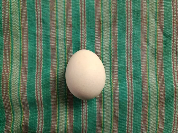 Organic egg on picnic tablecloth. picnic concept — 图库照片