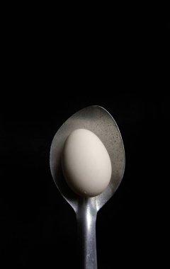 Siyah arka planda organik yumurta tutan kaşık. sağlıklı gıda konsepti