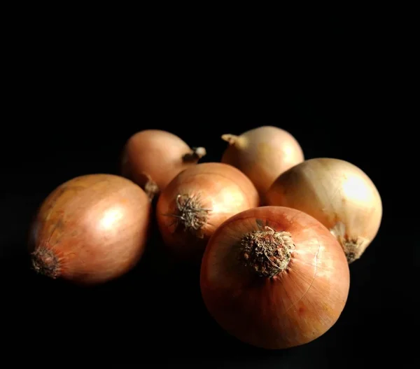 Organic onions on black background. Healthy food concept. harvested vegetables in Guatemala — Stock Photo, Image