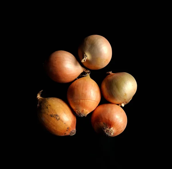 Organic onions close-up on black background. Healthy food concept. harvested vegetables in Guatemala — Stock Photo, Image