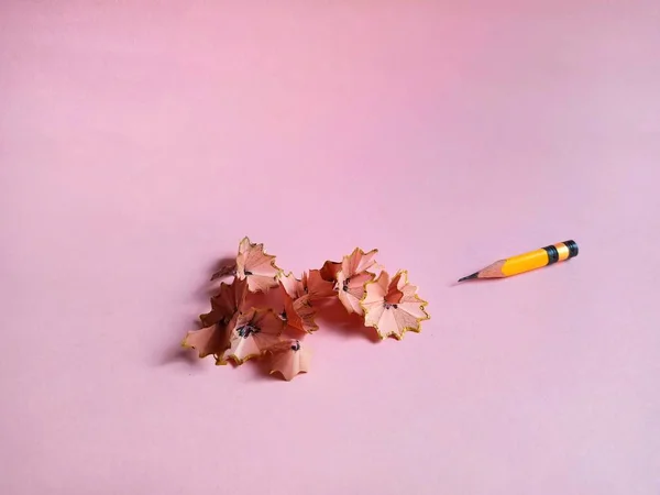 Pembe arka planda kalem kırıntıları. okul konseptine geri dön