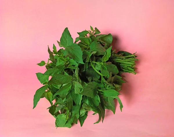 Solanum Nigrum Listí Růžovém Pozadí Typické Jídlo Guatemala — Stock fotografie