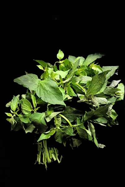 Solanum Nigrum Deixa Fundo Preto Comida Típica Guatemala — Fotografia de Stock