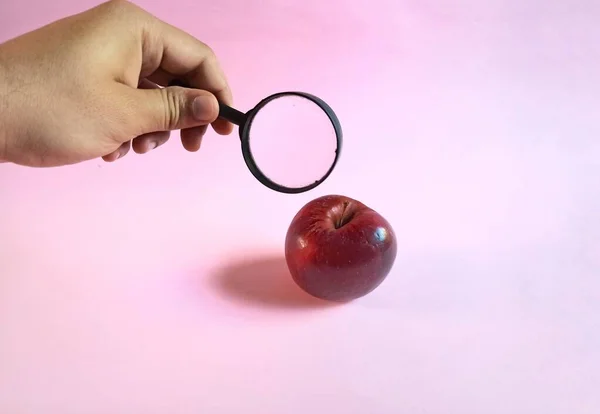 Магічне Скло Спостерігає Яблуком Рожевому Тлі Концепція Сільського Господарства — стокове фото