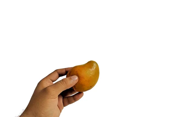 Hand Hält Eine Mango Auf Weißem Hintergrund Tropische Früchte Aus — Stockfoto