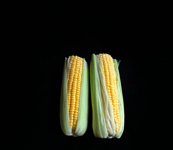 Milho Orgânico Sobre Fundo Preto Comida Típica Guatemala — Fotografia de Stock