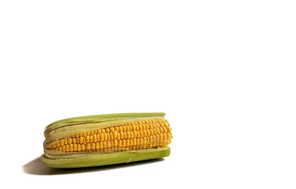 Organikus Kukorica Fehér Háttérrel Guatemala Tipikus Étele — Stock Fotó