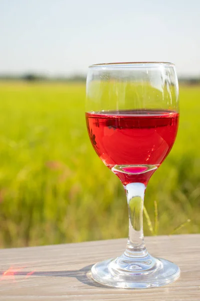 Pirinç tarlasında kırmızı şaraplı cam.