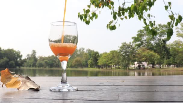 Sinaasappelsap Frisdrank Gieten Wijnglas Meer Tuin Achtergrond — Stockvideo