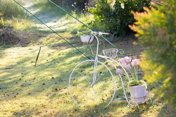 Bahçedeki bisiklet modeli.