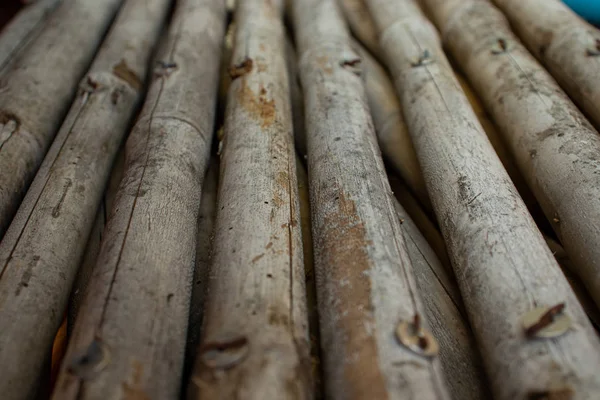 Bambu çit dokusu arkaplan resmi