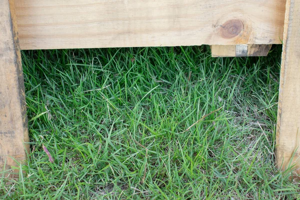 palet ahşap çerçeve ve çimenler