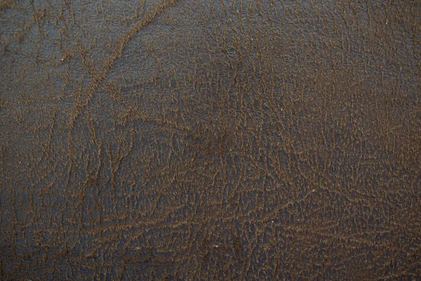 Deri sandalyenin yüzey dokusu