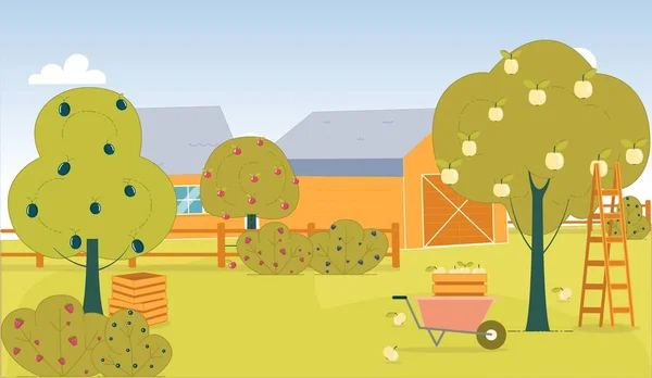 Arbre fruitier à la ferme, Récolte . — Image vectorielle