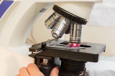  Laboratuvarda. Mikroskop.
