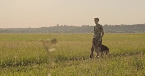 Nastolatek Spaceruje Psem Naturze Letni Chłopiec Spaceruje Psem Rasy Owczarka — Wideo stockowe