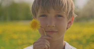 Cheerful little boy holds  yellow camomile in hands. Happy funny child, closeup view. Cute little kid of a blond hair boy, on the meadow. Slow motion 