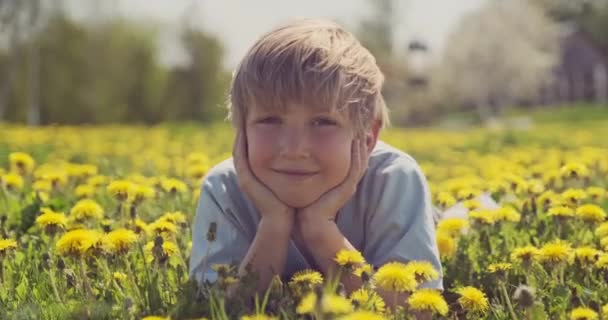 Happy Little Boy Lies Spring Meadow Cheerful Child Lies Camomile — Stock Video