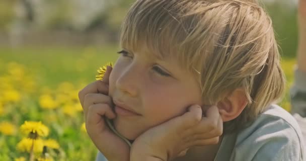 Joli Garçon Caucasien Allongé Sur Une Prairie Printanière Regarde Enfant — Video