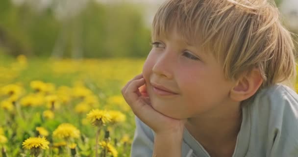 Joli Garçon Caucasien Allongé Sur Une Prairie Printanière Regarde Enfant — Video