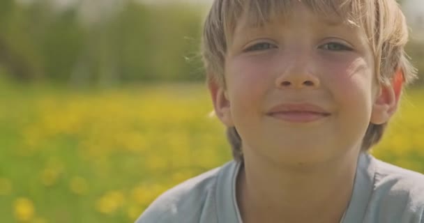 一个金发男孩可爱的笑脸 在草地上 快乐的孩子在迷幻的田野里 近距离观察 幸福与童年 一个漂亮的高加索男孩在春天的草地上看着相机 — 图库视频影像