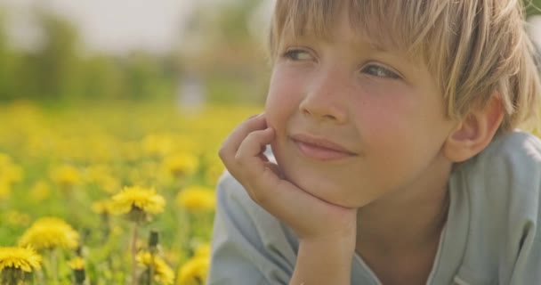 Pretty Caucasian Boy Lying Spring Meadow Looking Away Happy Child — Stock Video