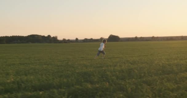 Niño Feliz Corriendo Prado Verano Mientras Pone Sol Feliz Niño — Vídeos de Stock