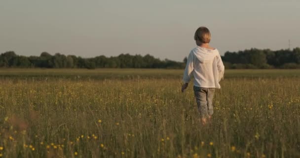 Barnet Går Ängen Sommaren Sju Gammal Lugn Pojke Promenader Fältet — Stockvideo