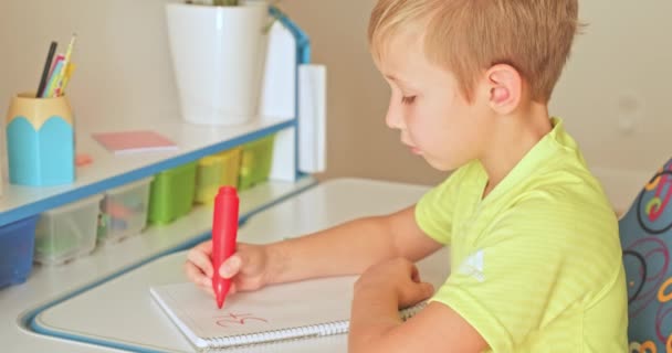 Criança Escreve Números Caderno Escola Estudante Fazer Trabalhos Casa Casa — Vídeo de Stock