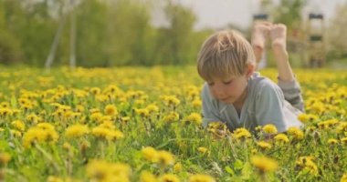 Çayırda yatan ve bakışları olan beyaz bir çocuk. Mutlu çocuk papatya tarlasında yatıyor, yakından bakıyor. Çayırdaki sarı saçlı çocuğun sevimli gülümseyen yüzü. Mutluluk ve çocukluk. Yavaş çekim