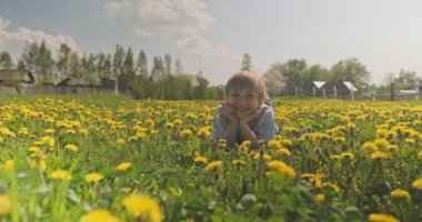 Çayırda yatan ve bakışları olan beyaz bir çocuk. Mutlu çocuk papatya tarlasında yatıyor, yakından bakıyor. Çayırdaki sarı saçlı çocuğun sevimli gülümseyen yüzü. Mutluluk ve çocukluk. Yavaş çekim