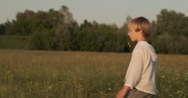 幸せな子供は夏に牧草地を歩く 幸せな7歳のかわいい男の子がフィールドに散歩 休暇の概念 自然の中で金髪の毛の少年サンザリングのサイドビュー スローモーション — ストック動画