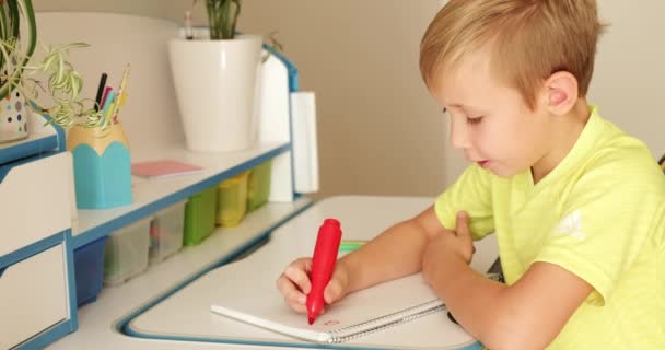孩子把人物写在学校的笔记本上 男孩子在家里用笔迹做作业 这封信是小学生写的 这个孩子放学后做作业 4K镜头 — 图库视频影像