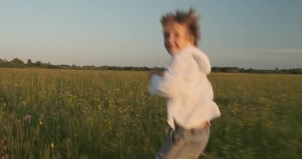 夏天日落时 快乐的孩子在草地上奔跑 快乐的7岁快乐的男孩在田里奔跑 幸福的概念 活跃的金发男孩对大自然的研究 慢动作 — 图库视频影像