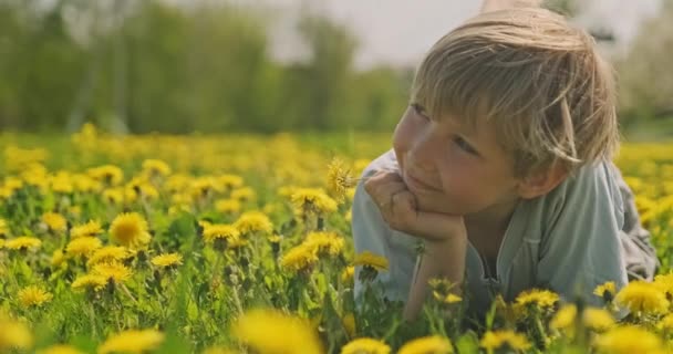 Criança Caucasiana Feliz Está Deitada Prado Primavera Olhando Para Longe — Vídeo de Stock